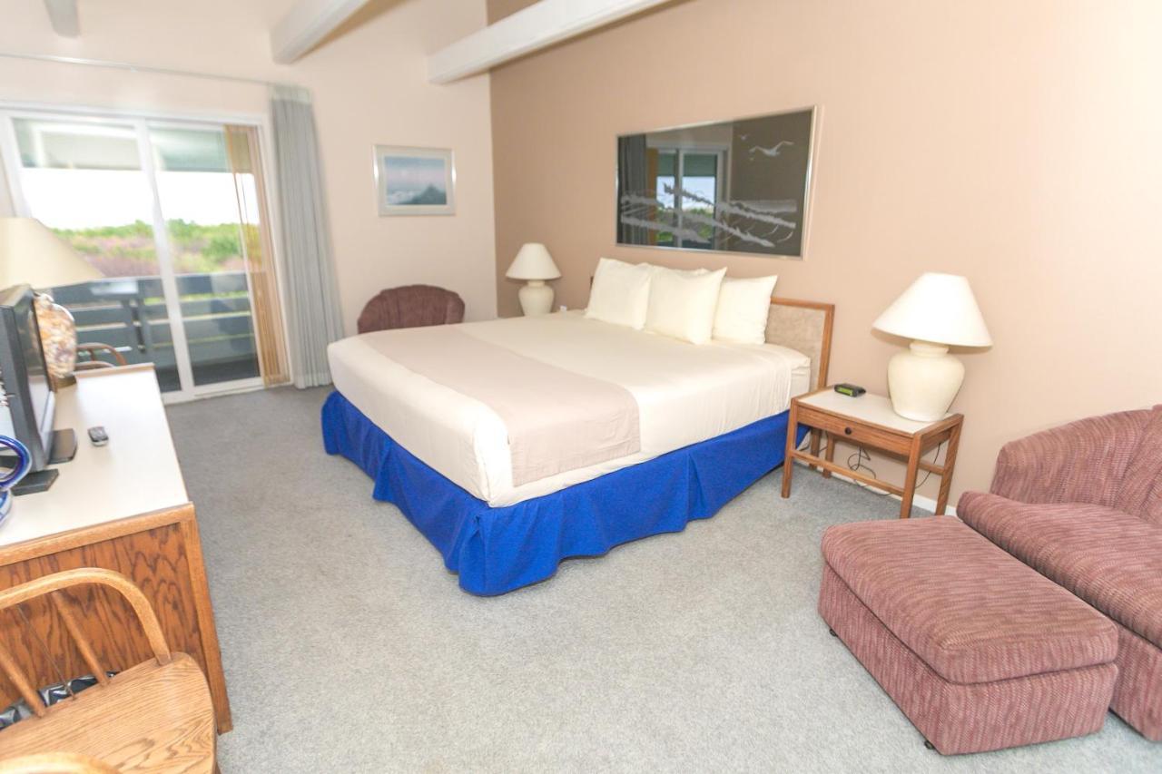 Grey Gull Aparthotel Ocean Shores Luaran gambar
